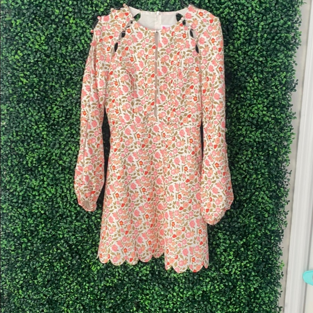 Gorgeous long sleeve fit and flare, never worn
